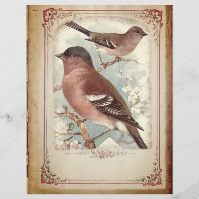 Red Birds op een tak Scrapbook Papier (Voorkant)