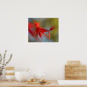 "Red Bloom", maanblad Poster (Keuken)