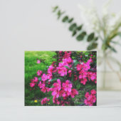RED BLOSSOMS BRIGHT BRIEFKAART (Staand voorkant)