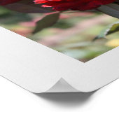 Red Bouquet Print (Hoek)