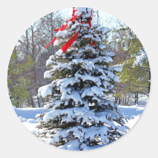 Red Bow Evergreen Ronde Sticker (Voorkant)