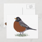 Red Breasted American Robin Digitally Drawn Bird Briefkaart (Voorkant / Achterkant)