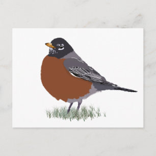 Red Breasted American Robin Digitally Drawn Bird Briefkaart