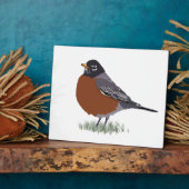 Red Breasted American Robin Digitally Drawn Bird Fotoplaat (Zijkant)