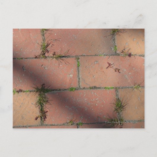 Red Brick Briefkaart (Voorkant)