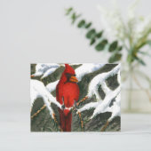 "Red" Briefkaart landwegen (Staand voorkant)