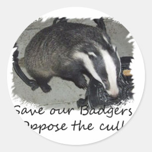 Red Britse dassen, verzet u tegen de dassenafslach Ronde Sticker