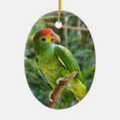 Red Browed Amazon Parrot Keramisch Ornament (Voorkant)