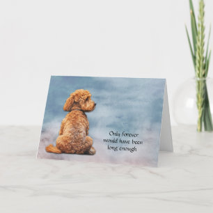 Red Brown Poodle Dog Perdre la carte de sympathie