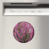 Red Bud-boom.... Magneet (Insitu (Vaatwasser))