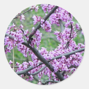 Red Bud Tree Ronde Sticker
