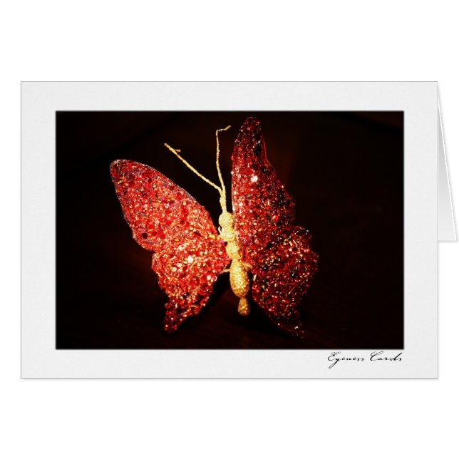 Red Butterfly (Voorkant Horizontaal)