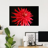 Red Cactus Dahlia Poster (Thuiskantoor)