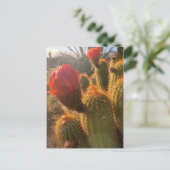 Red Cactus Flowers Sunset Briefkaart (Staand voorkant)