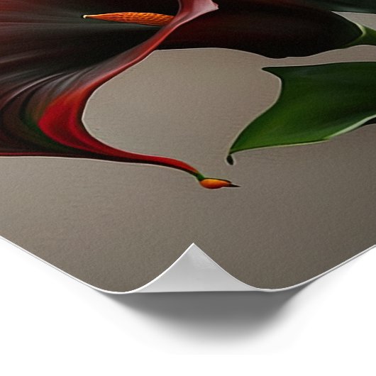 Red Calla Lilies Lily Art Imprimer Poster (Coin)