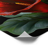 Red Calla Lilies Lily Art Imprimer Poster (Coin)