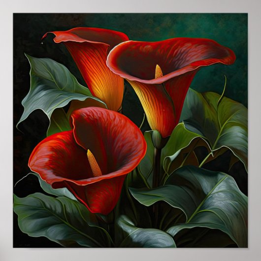 Red Calla Lilies Lily Art Imprimer Poster (Devant)