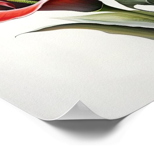 Red Calla Lilies Lily Art Imprimer Poster (Coin)