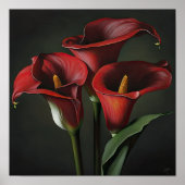 Red Calla Lilies Lily Art Imprimer Poster (Devant)