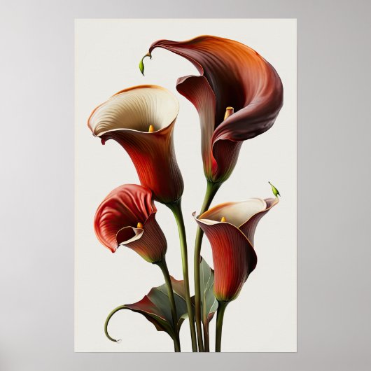 Red Calla Lilies Lily Art Imprimer Poster (Devant)
