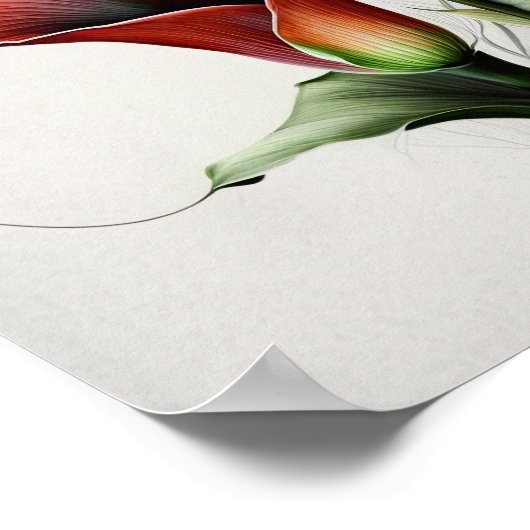 Red Calla Lilies Lily Art Imprimer Poster (Coin)