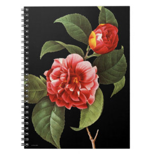 Red Camellia, 1833 Notitieboek