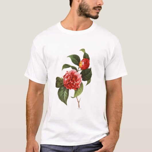 Red Camellia, 1833 T-shirt (Voorkant)