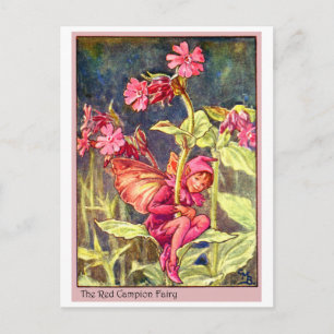 Red Campion Fairy Briefkaart