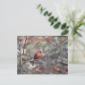 Red Cardinaal Messenger van Heaven Sympathy Postca Briefkaart (Staand voorkant)
