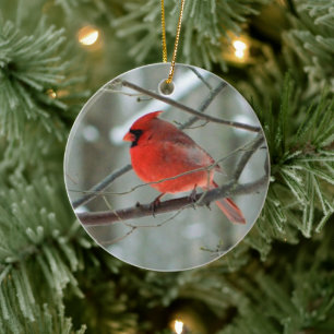 Red Cardinaal Winter Ornament