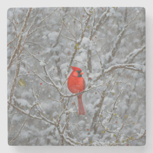 Red Cardinal Bird Snow Onderzetter