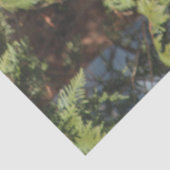 Red Cardinal Rustic Charm Tissue Tissuepapier (Detail)