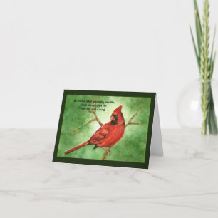 Red Cardinal Sympathy Kaart