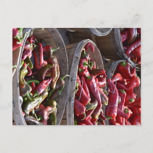 Red Chili Briefkaart (Voorkant)