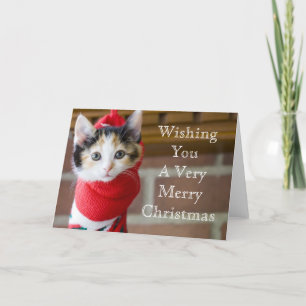 Red Christmas Kitten Feestdagen Kaart