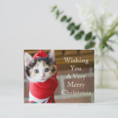 Red Christmas Kitten Feestdagenkaart (Staand voorkant)