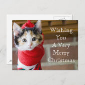 Red Christmas Kitten Feestdagenkaart (Voorkant / Achterkant)