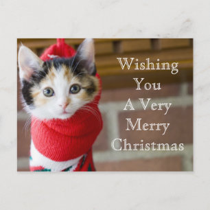 Red Christmas Kitten Feestdagenkaart