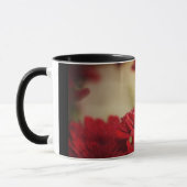 Red Chrysanthema Mok (Links)