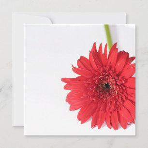 Red Chrysanthemum Jouw tekst Flat Kaart