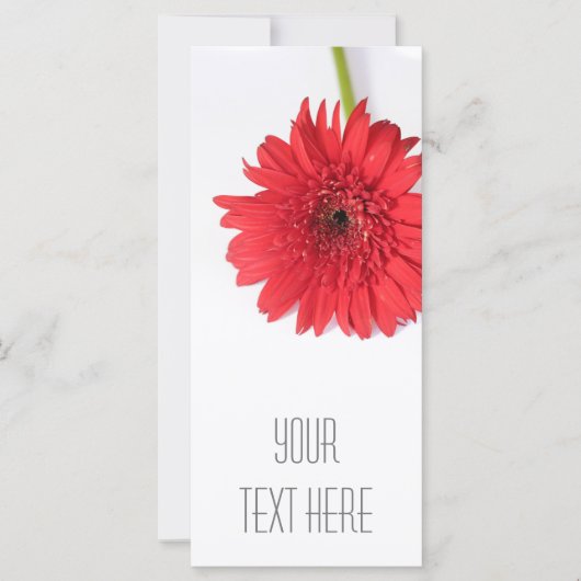 Red Chrysanthemum Votre carte à plat texte (Devant)