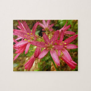 Red Clintonia Flowers in Redwood Legpuzzel