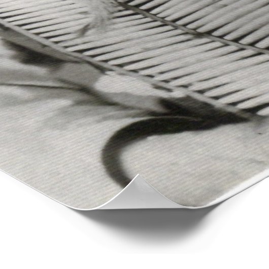 Red Cloud Poster (Hoek)