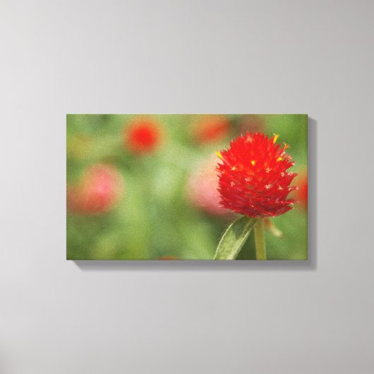 Red Clover Canvas Art Afdruk (Voorkant)