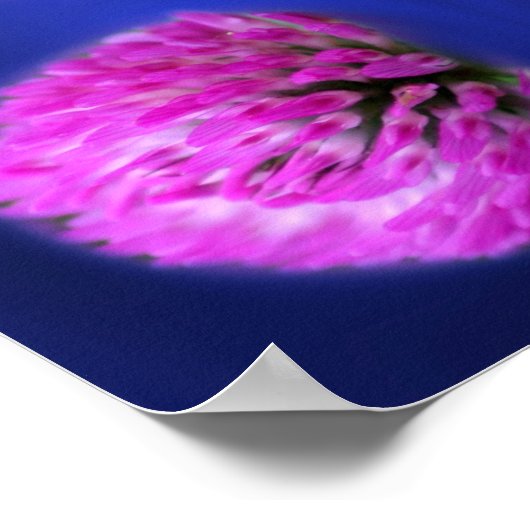 Red Clover Wildflower Abstract Poster (Hoek)