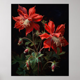 Red Columbine Flowers Art Print Poster