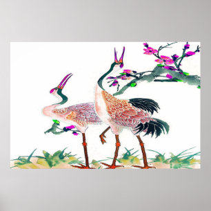 Red Crowned Crane Standing poster Drawing 2