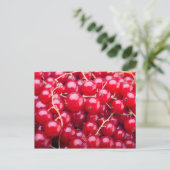 Red Currant Briefkaart (Staand voorkant)