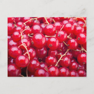 Red Currant Briefkaart