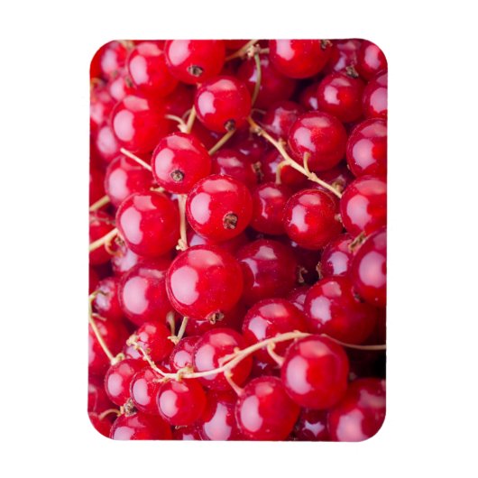 Red Currant Magneet (Verticaal)